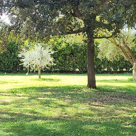 Holiday home Villino Celeste *